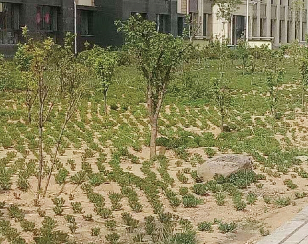 包頭棚戶(hù)區改造,住宅及社區內道路、園林綠化、亮化工程
