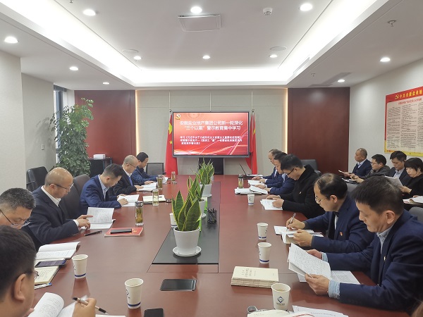 安徽鹽業(yè)地產(chǎn)集團公司開(kāi)展新一輪深化“三個(gè)以案”警示教育集中學(xué)習