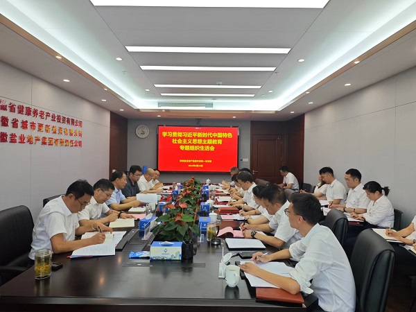 安徽鹽業(yè)地產(chǎn)集團本部第一黨支部召開(kāi)主題教育專(zhuān)題組織生活會(huì )