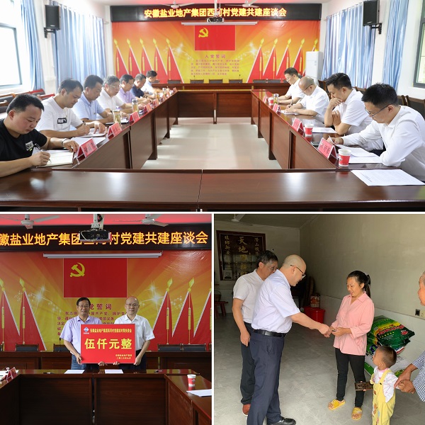 安徽鹽業(yè)地產(chǎn)集團黨委赴西河村開(kāi)展結對共建幫扶慰問(wèn)活動(dòng)