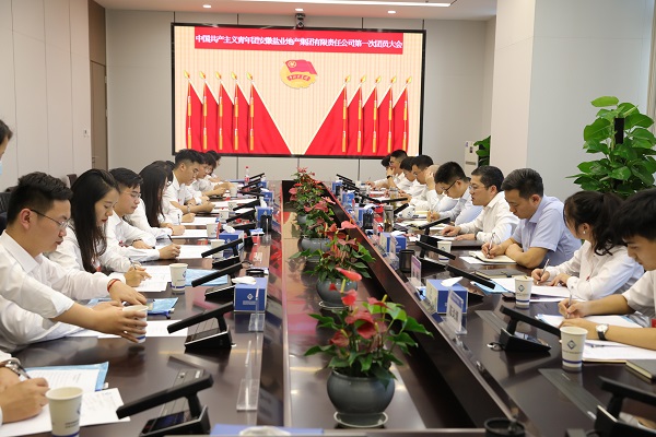 青春向黨傳薪火 踔厲奮發(fā)新時(shí)代——安徽鹽業(yè)地產(chǎn)集團團支部成立大會(huì )暨團員大會(huì )勝利召開(kāi)